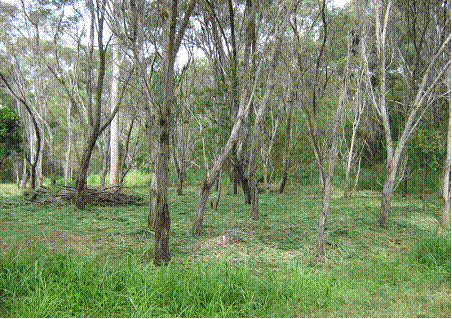 cheapest land in queensland